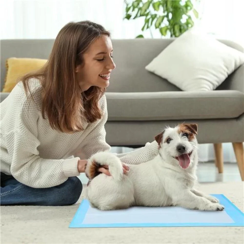 Super Absorbent Waterproof Dog and Puppy Pet Training Pad, Housebreaking Pet Pad